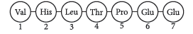 Class 12 VBQs Biology Principles of Inheritance and Variation