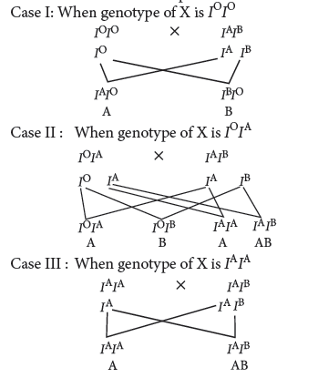 Class 12 VBQs Biology Principles of Inheritance and Variation