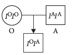 Class 12 VBQs Biology Principles of Inheritance and Variation