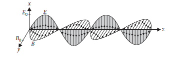 Class 12 Physics Sample Paper Term 1 With Solutions Set G